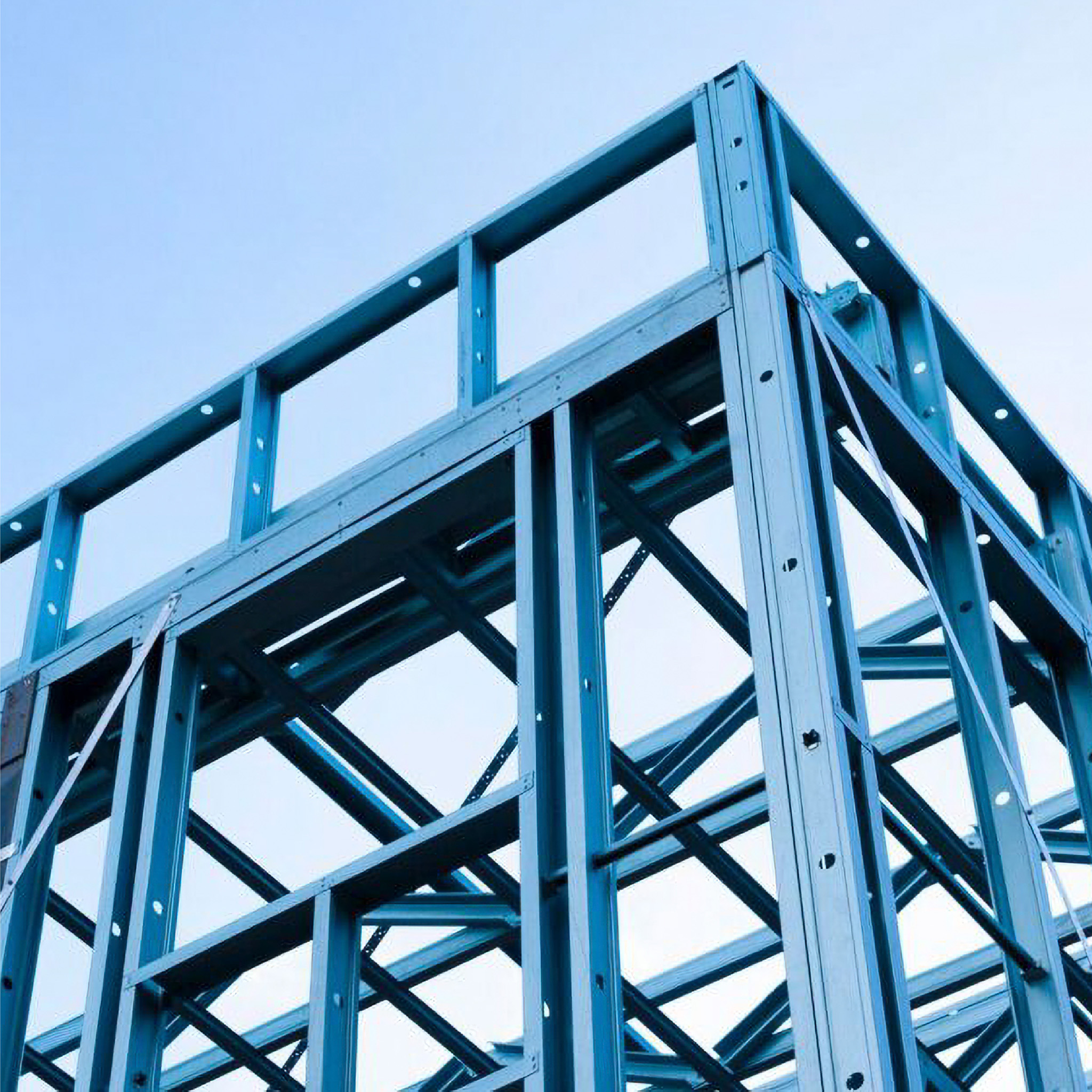 Steel Frames and Trusses